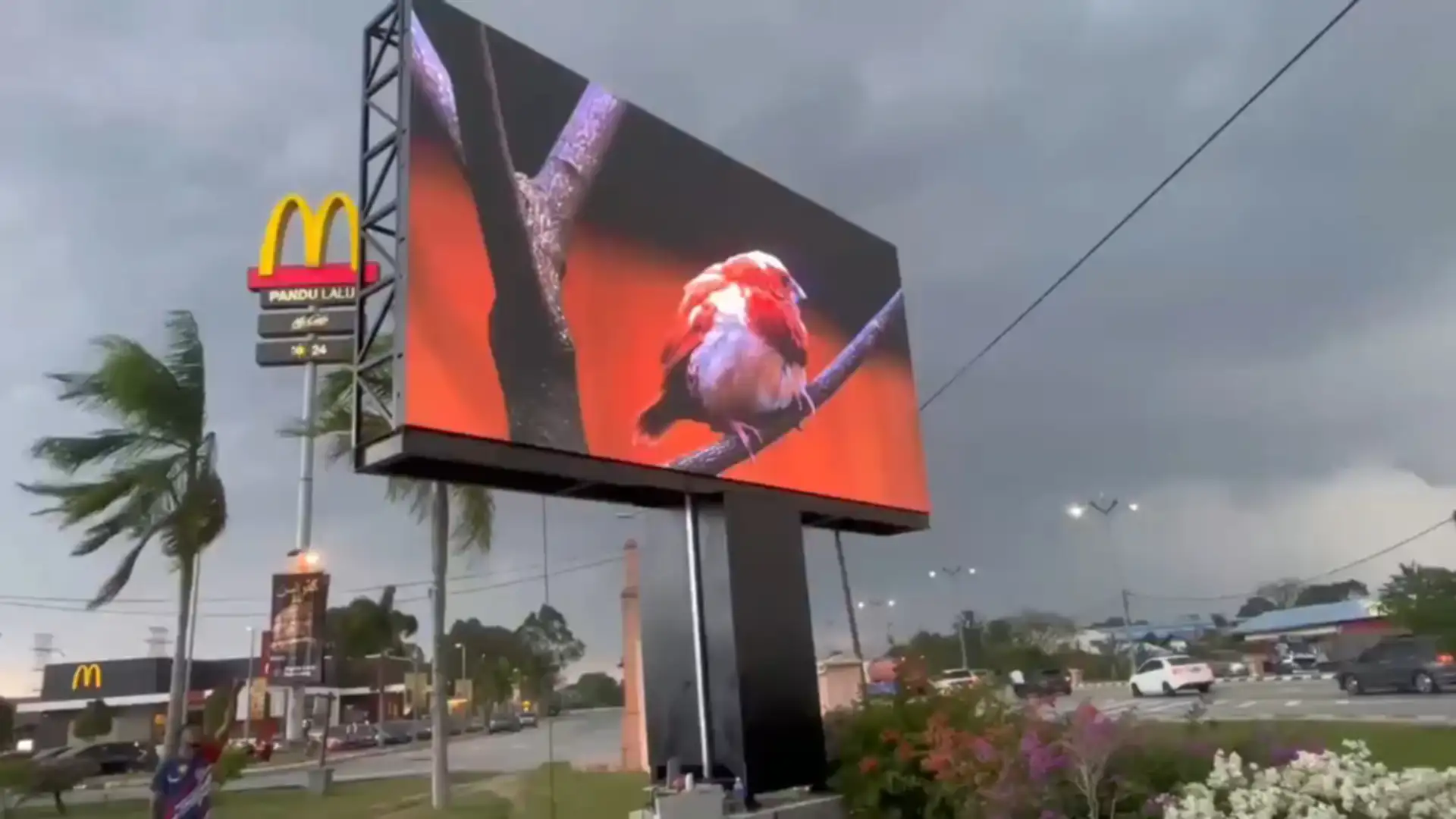 Roadside LED Billboard